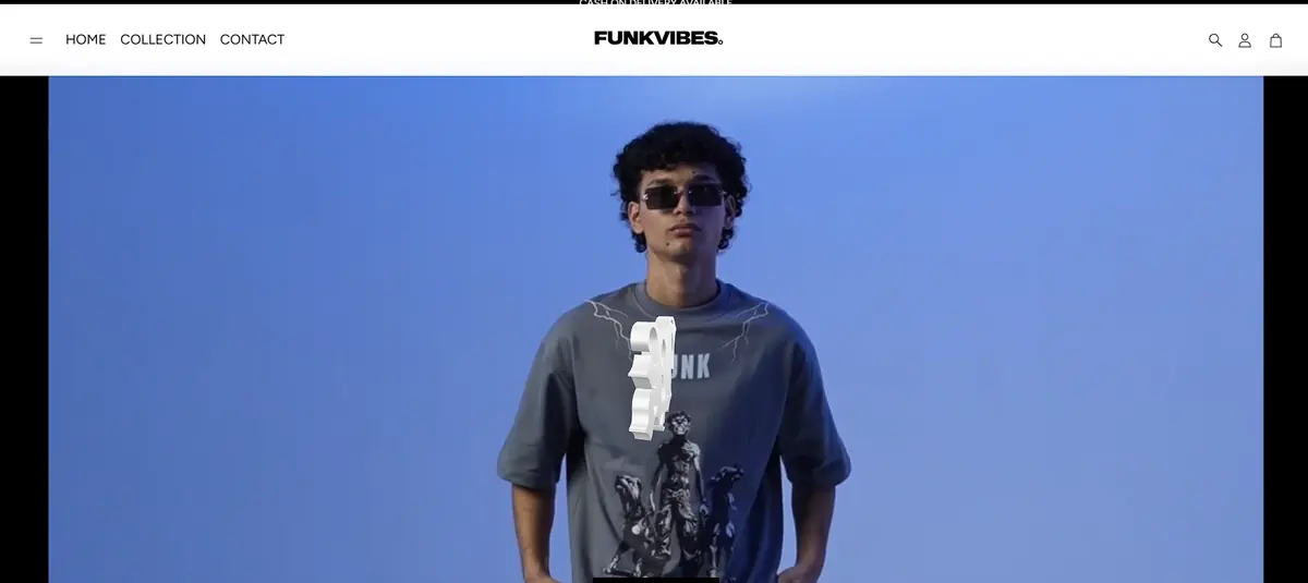 funkvibes.com website built by MakeMyApp
